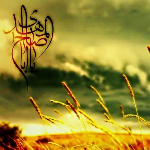 امام علی(ع)