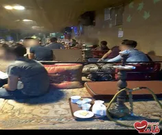 سایت تفریحی فاندل:دیشب ماموران پلیش تهران بیش از ۳۰ دختر 