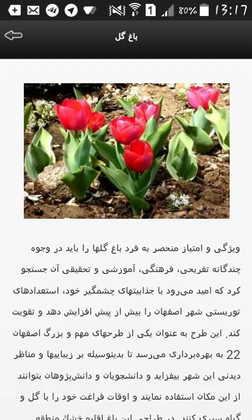 ایرانگردی