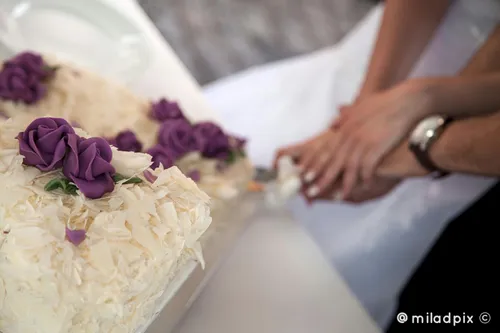 ازدواج کیک عروسی