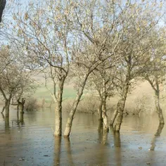 چندمین باره که مطلبی که میخواستم به اشتراک بزارم کامل کرد