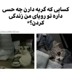 حس خوبی داره؟ =-=