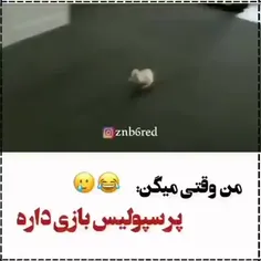 امروززز ساعت آرومتر از مورچه جلو میره😫😫😫💔