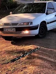 فالو=فالو 