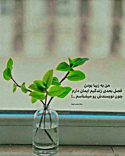 امیدواری..... 🌱 🌸