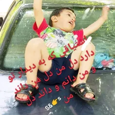 دوست دارم عزیزم 