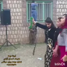 رقص زیبای دختران لکستانی