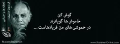 می گویند 