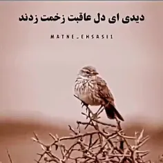 ازجوانی گله دارم💔💔💔💔💔💔💔💔💔💔😭😭😭😭😭😭😭😭😭😭😭😭😭😭😭😭