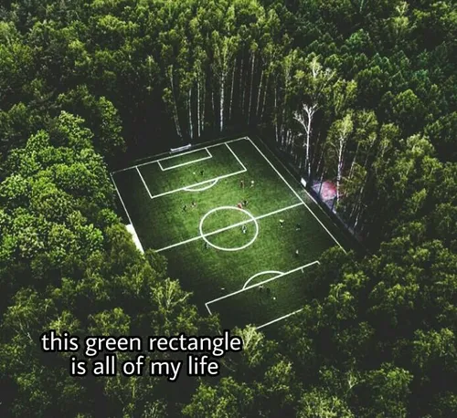 این مستطیل سبز تمام زندگی من است