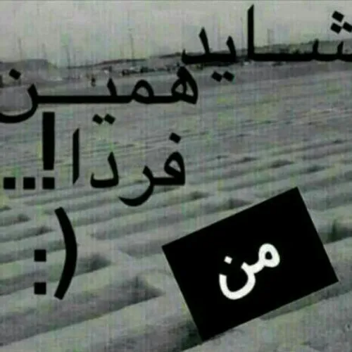 شاید..