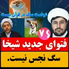 ⁉️سگ به این نازی چرا بهش میگن نجس