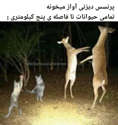 ما ک از اینا نمیدیدیم ولی دخترا فکر کنم بدونن چی میگه :/