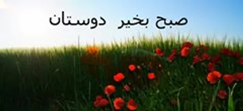 صبح همگی بخیر...روز خوبی رو برای همگی آرزومندم