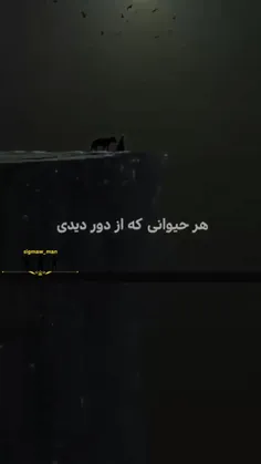 زندگی انسان شناسی را به من آموخت