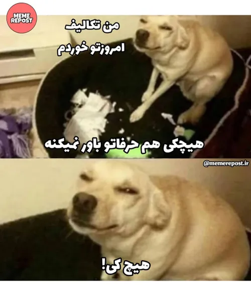 هیچکی😂🙂💔