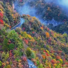 سلااام دوستان جان
صبحتون به زیبایی این جاده بهشتی 