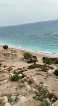 ⭕️شما هم ببینید گوشه‌ایی از زیبایی ساحل خلیج‌فارس رو…
