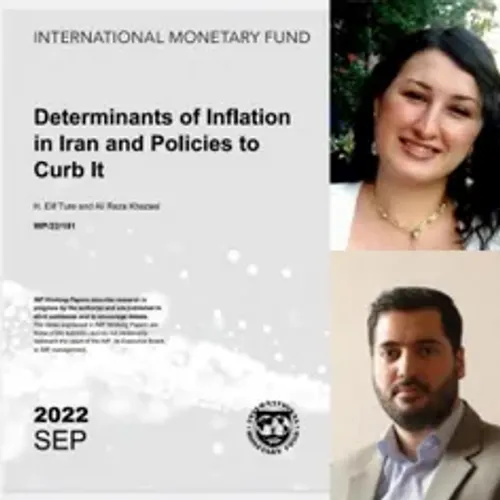 کارشناسان سربه سجود و آیه خوان در IMF