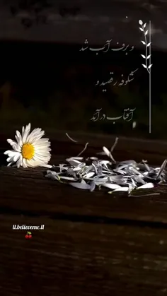 🌱🍒وبرف آب شد 