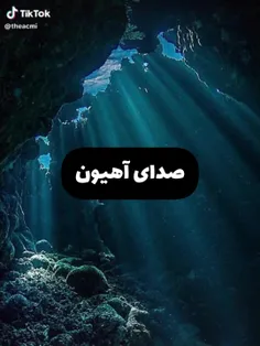 صدای آهیون به قدری خوبه که قابل توصیف نیست :>>>>>>🛐💙🩵