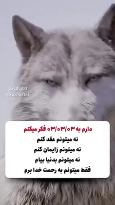 کسی که این پست وگذاشته فازشو نمیدونم چیه