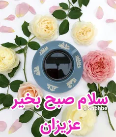 🌸 صبح یعنی یک سلام ناب ناب 