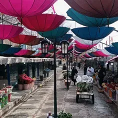 حال و هوای بازار گل و گیاه اصفهان بعد از روز پدر