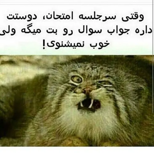 اره همینجوریه دقیقا