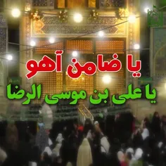 #میلاد_امام_رضا_ع