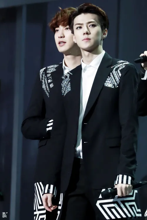 sehun and chanyeol