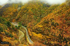 طبیعت خیره کننده و رنگارنگ زیبای پاییزی جاده چالوس