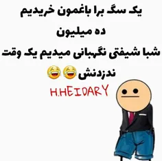 شب و روزم شده نگهداری از سگ باغمون😂 😂 😂