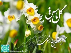 گل باش که همنشین عطار شوی