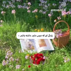 بعضی روزا واقعا از این وایبا میده🦋🥺