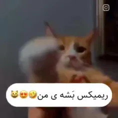 بشه یییییی منههههههههه