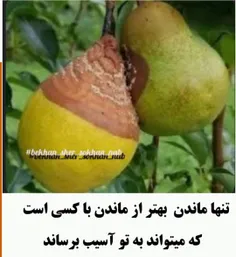 "تنهایی " دوست داشتنی نیست اما 