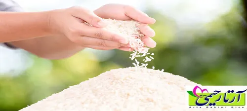 چگونه از روی بوی برنج به کیفیت برنج پی ببریم؟