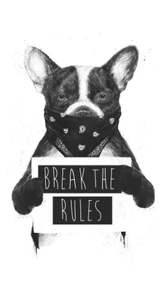 Break the rules 