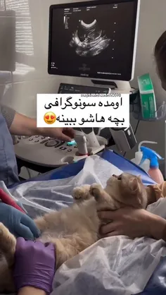 نی نی داره🥹
