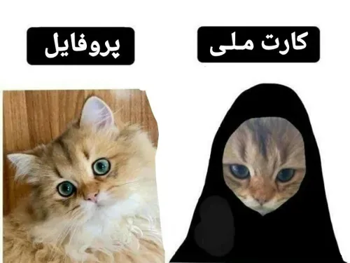 بشدت سم😂😂😂