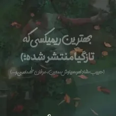 عمرا کسی بگیره جاتو.... 