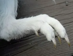 .