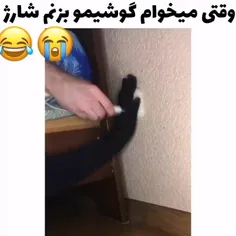 دقیقا همینه😂