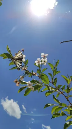 شکار لحظه به این میگن😍🤌چه عکسی گرفتم 👌