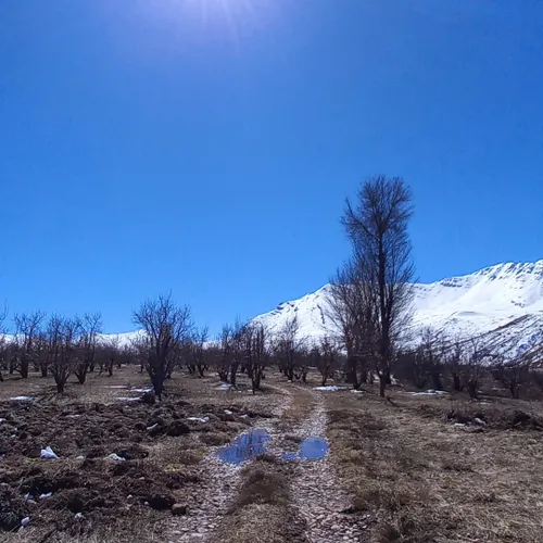 پادنای زیبا 😍😍😍