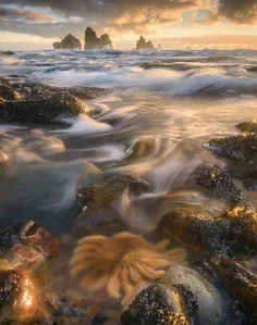 📸  نمایی رویایی از ساحل زیبای Motukiekie در کشور نیوزلند