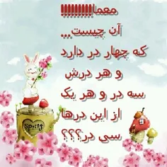 هرکی میدونه جواب بده!!!!