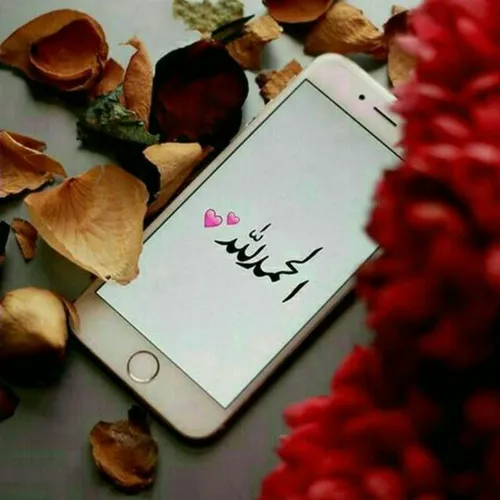 🌹 نـــ✒ ــون وَ الْــــقَــلَــم🌹