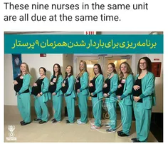 بارداری هم‌زمان 9 پرستار در یک بیمارستان آمریکایی !